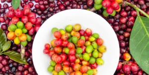 Rwandan coffee