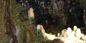 Amabere ga Nyina Mwiru Nyakasura caves