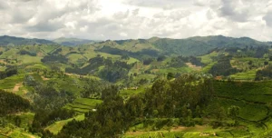 Fascinating landscapes and best ways to view Kigali city and some parts of the country