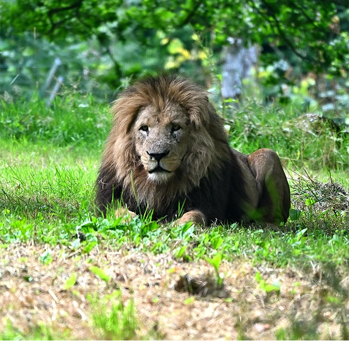 9 Days Rwanda’s Attractions