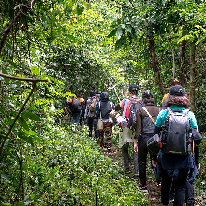 Guided Nature Walks
