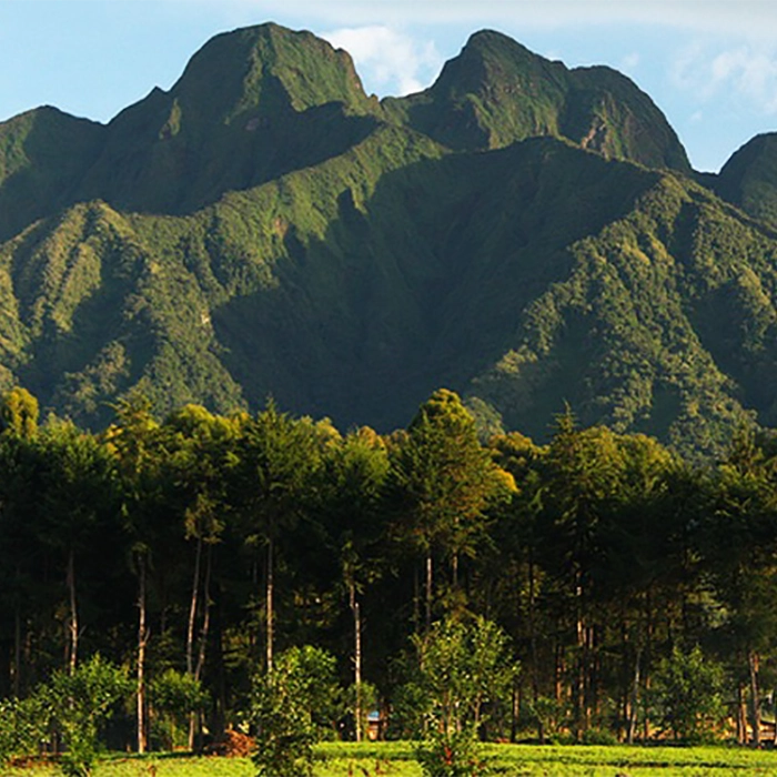 Volcanoe Accommodation Guide